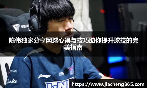 陈伟独家分享网球心得与技巧助你提升球技的完美指南